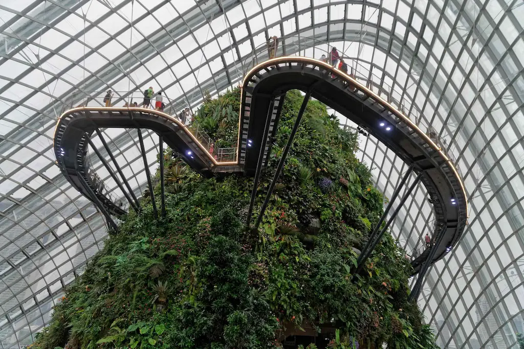 Day 3: Cloud Forest (Treetop Walk)